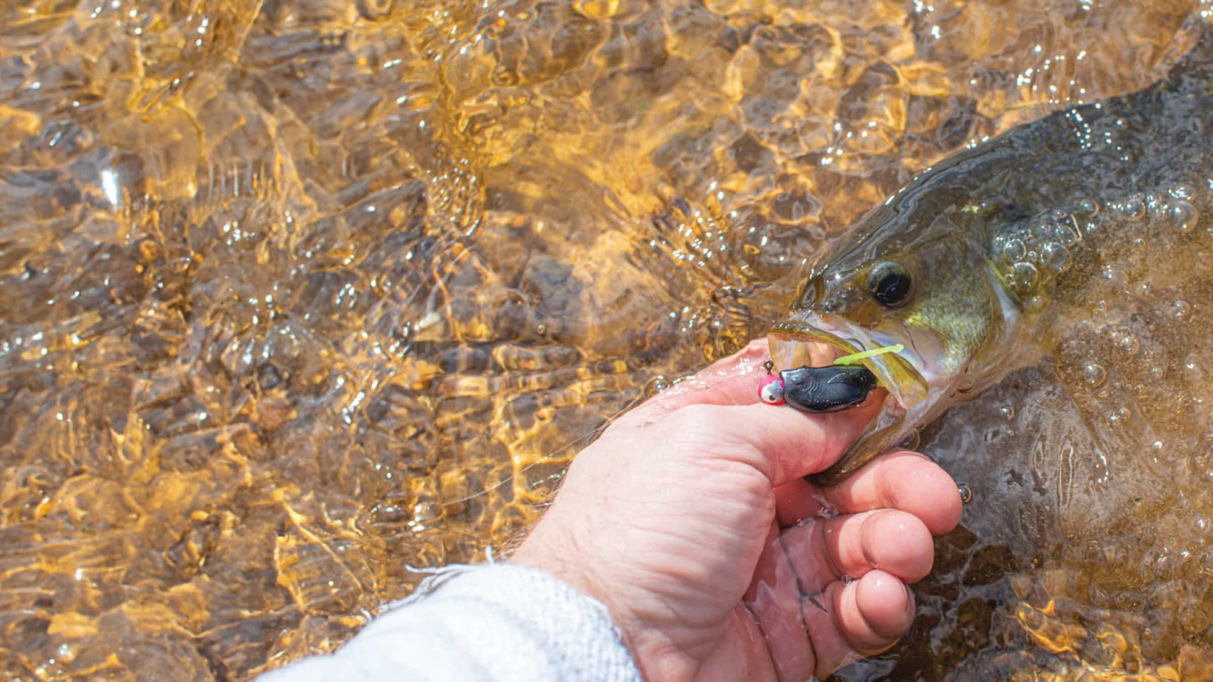 Deals on Baits, Rods, Reels and More!