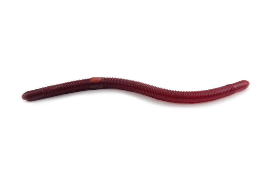Kelly S Plow Jockeys Worm (Red Swamp Berry)