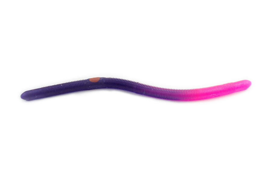 Kelly S Firetail Worm (Purple)