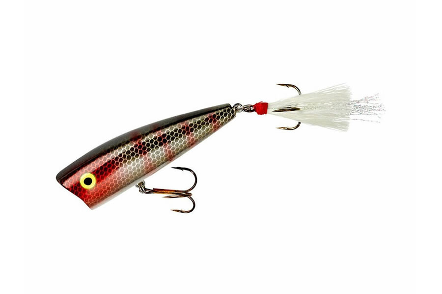 Rebel Pop-R Plus 1/4 oz